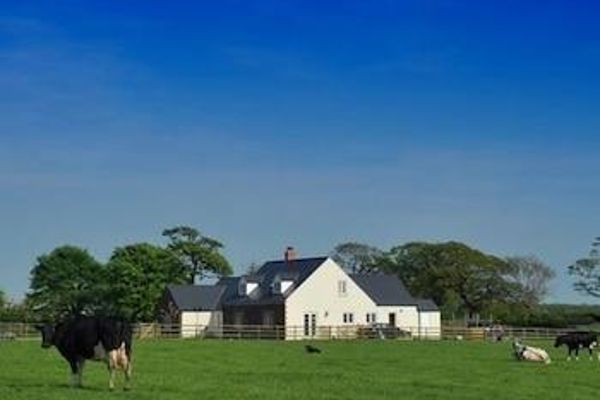 The Paddock (Wales)